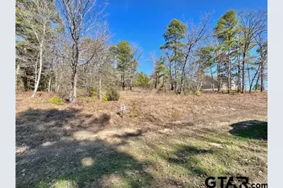 Lot 10 Cr 3545, Hawkins, TX 75765 - Photo 4