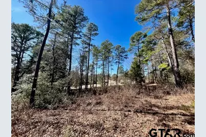 Lot 10 Cr 3545, Hawkins, TX 75765 - Photo 6