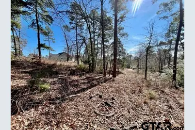 Lot 10 Cr 3545, Hawkins, TX 75765 - Photo 8