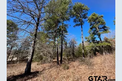 Lot 10 Cr 3545, Hawkins, TX 75765 - Photo 14