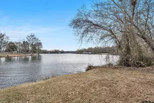 360 W Elm St, Murchison, TX 75778 - Photo 46