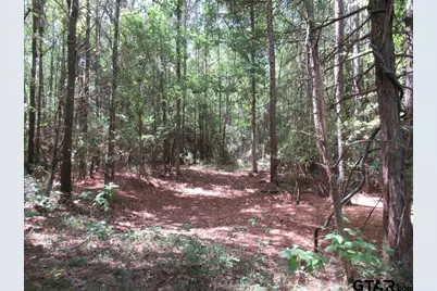 16.12 Ac Fm 757, Winona, TX 75792 - Photo 14