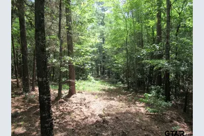 16.12 Ac Fm 757, Winona, TX 75792 - Photo 12