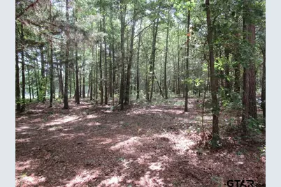 16.12 Ac Fm 757, Winona, TX 75792 - Photo 6