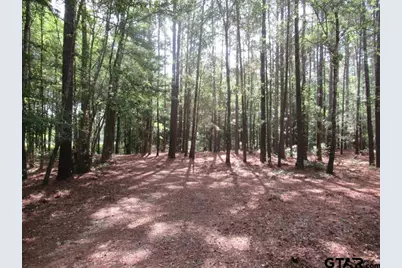16.12 Ac Fm 757, Winona, TX 75792 - Photo 4