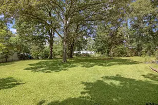13438 Cr 2278 (Mosley Lane), Tyler, TX 75707 - Photo 34
