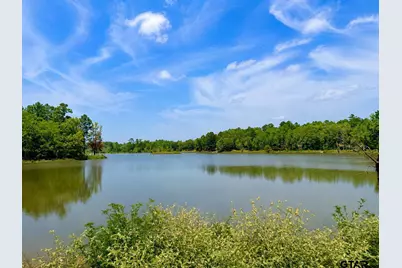 17168 Island Lake Dr, Tyler, TX 75708 - Photo 12