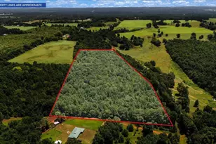 639 County Road 3322, Jacksonville, TX 75766 - Photo 1