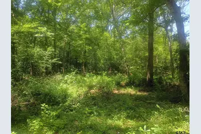 Tbd County Road 1708, Jacksonville, TX 75766 - Photo 2