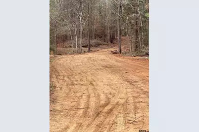 455 Acres Off Watson Rd, Kilgore, TX 75662 - Photo 6