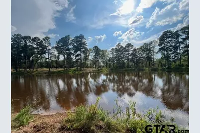 455 Acres Off Watson Rd, Kilgore, TX 75662 - Photo 36