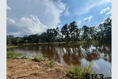 455 Acres Off Watson Rd, Kilgore, TX 75662 - Photo 38