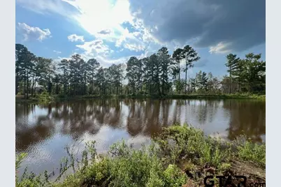 455 Acres Off Watson Rd, Kilgore, TX 75662 - Photo 34