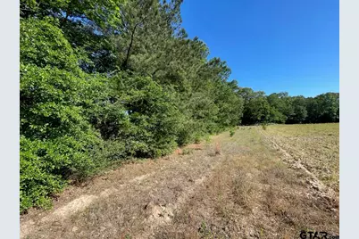 000 County Road 2138, Whitehouse, TX 75791 - Photo 6