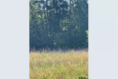 000 County Road 2138, Whitehouse, TX 75791 - Photo 4