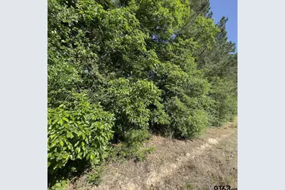 000 County Road 2138, Whitehouse, TX 75791 - Photo 2