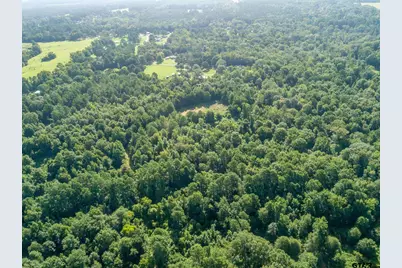 8724 E Fm 1649, Gilmer, TX 75645 - Photo 10