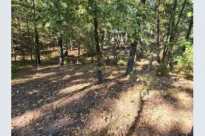 Tbd Pr 5816, Yantis, TX 75497 - Photo 4