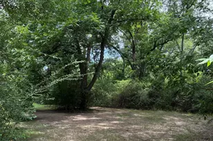 609 E Quitman St, Alba, TX 75410 - Photo 34