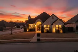 3157 Salado Creek Dr, Tyler, TX 75703 - Photo 48