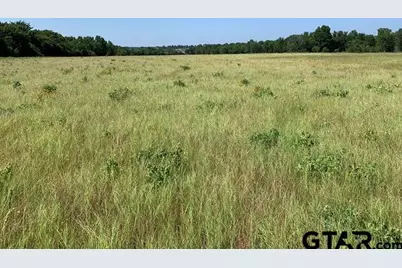 000 Cr 152 (Lot 1), Bullard, TX 75757 - Photo 4
