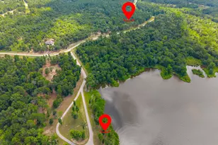3195 Shadow Pne Dr, LaRue, TX 75770 - Photo 1
