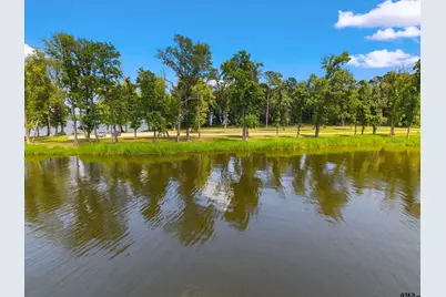 3195 Shadow Pine Drive, LaRue, TX 75770 - Photo 14