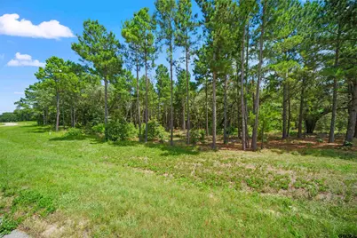 3195 Shadow Pine Drive, LaRue, TX 75770 - Photo 4