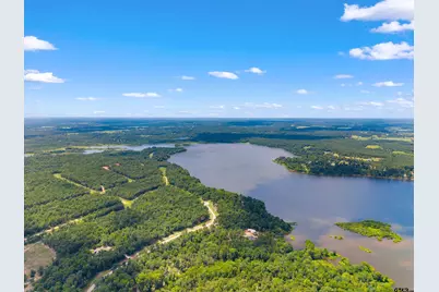 3195 Shadow Pine Drive, LaRue, TX 75770 - Photo 6