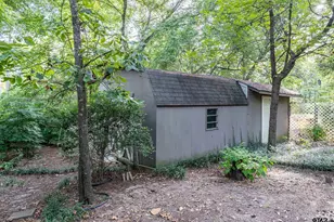 110 Green Cove, Holly Lake Ranch, TX 75765 - Photo 28