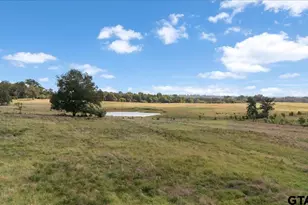 280 Vz County Rd 4821, Chandler, TX 75758 - Photo 20