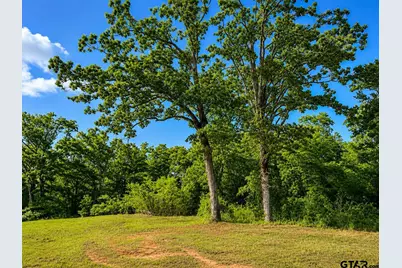 Tbd W Hwy 80, Mineola, TX 75773 - Photo 1