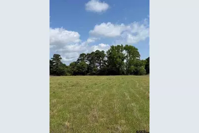 Tbd Cr 3147, Tyler, TX 75706 - Photo 6