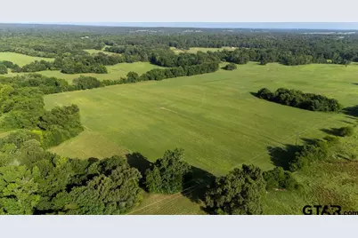 Tbd SW Cr 3250, Winnsboro, TX 75494 - Photo 6