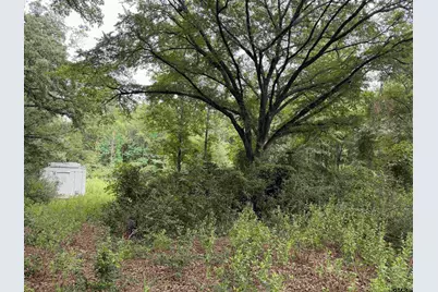 10490 Browning Street, Brownsboro, TX 75756 - Photo 2