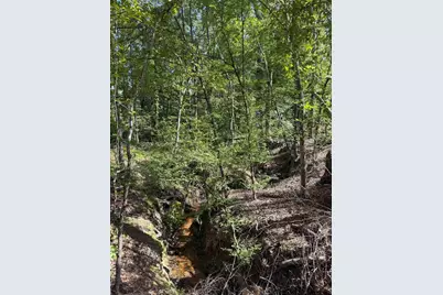 000 Cr 4218 15 Acre, Jacksonville, TX 75766 - Photo 4