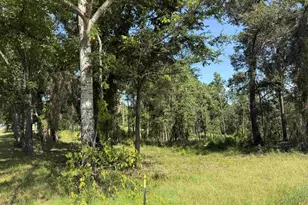 000 Cr 4218 15 Acre, Jacksonville, TX 75766 - Photo 1