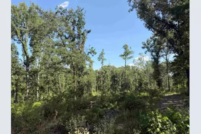 000 Cr 4218 15 Acre, Jacksonville, TX 75766 - Photo 2