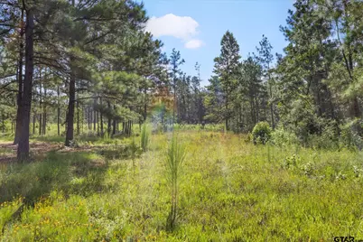 5681 An County Road 531, Palestine, TX 75801 - Photo 6