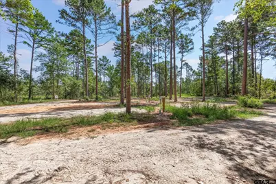 5681 An County Road 531, Palestine, TX 75801 - Photo 36