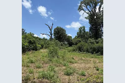 Tbd Cr 3260, Winnsboro, TX 75494 - Photo 4