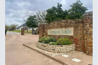 404 Corrigan Trails Blvd, Lindale, TX 75771 - Photo 44