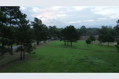 Lots 1-3 Fm 2493 E, Bullard, TX 75757 - Photo 10