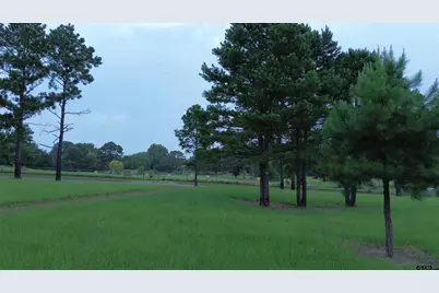 Lots 1-3 Fm 2493 E, Bullard, TX 75757 - Photo 16