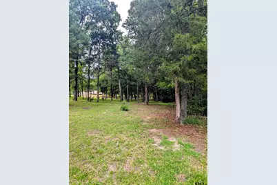0 Striper Cover, LaRue, TX 75770 - Photo 10
