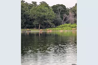 0 Striper Cover, LaRue, TX 75770 - Photo 16