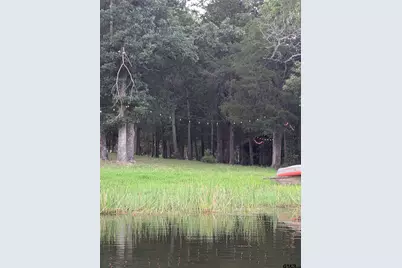 0 Striper Cover, LaRue, TX 75770 - Photo 14