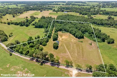 22728 Cr 2166, Troup, TX 75789 - Photo 2