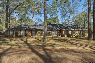 412 Nathan Dr, Quitman, TX 75783 - Photo 2