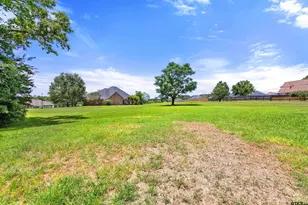 301 Hines Crossing, Bullard, TX 75757 - Photo 36
